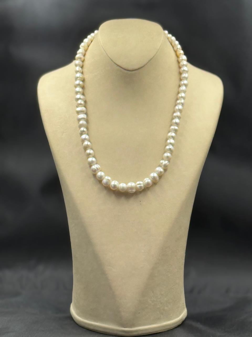 Fresh Water Pearls Necklace